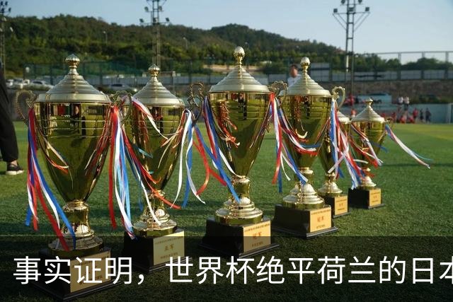 事实证明，世界杯绝平荷兰的日本男足，已经走上了另一条大道